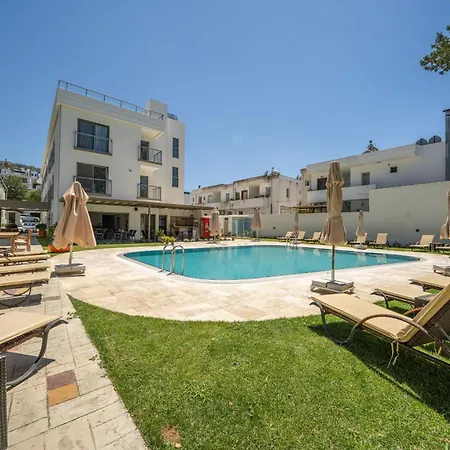 Hotel Olive Tree 4*