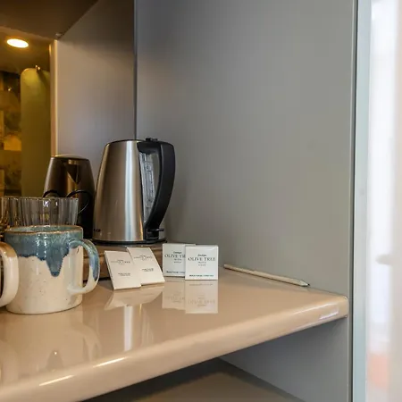 Hotel Olive Tree 4*